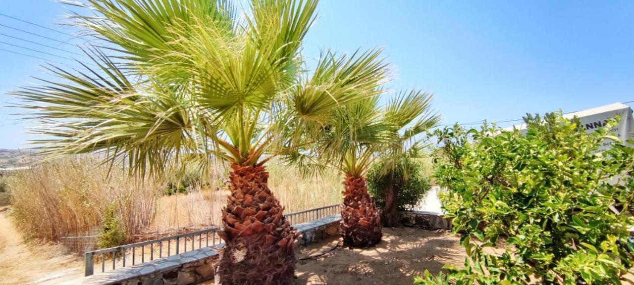 Naxian Bliss Apartment Agkidia Exterior photo
